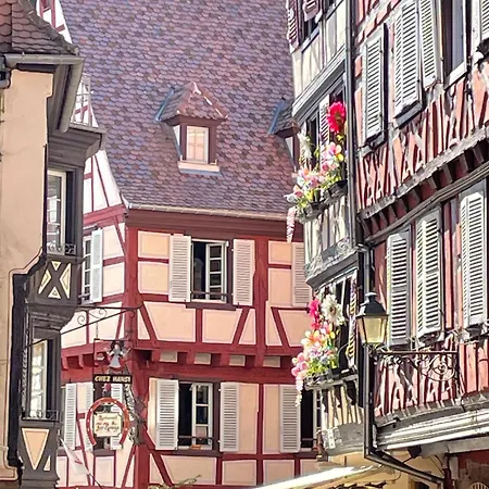 Cote Jardin Lägenhet Colmar